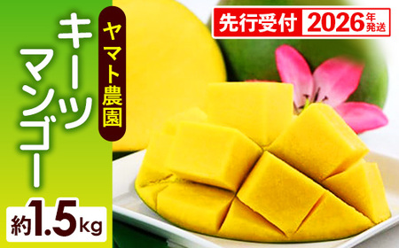 ystzy2026Nz}g_ L[c}S[1.5kg - Yn Y Y ʕ t[c 썑t[c {̖o Ǐn s\ 󏭎 lC   ꌧ d
