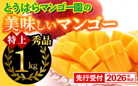 yϔzystE2026NzƂ͂}S[̔}S[Giij1kg - s\ ꌧY Yn 썑t[c {̖o {̃t[c 蕨 Mtg ꌧ