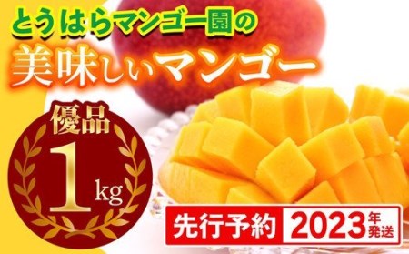 【2022年発送】とうはらマンゴー園の美味しいマンゴー優品　約1kg