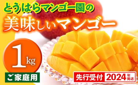 【先行受付】【2024年発送】とうはらマンゴー園の美味しいマンゴー家庭用　約1kg