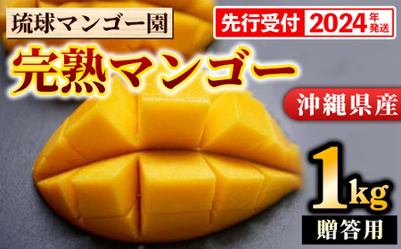 【先行受付】【2024年発送】樹上完熟！琉球マンゴー園の完熟アップルマンゴー約1kg（贈答用）