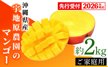 ystzy2026NzFn_̉ꌧY ƒp}S[2kg - s\ ꌧY Yn 썑t[c {̖o G߂̉ʕ p Abv}S[ ꌧ d