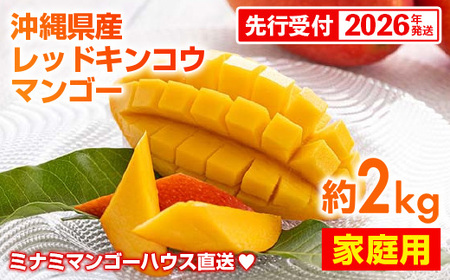 [先行受付][2026年発送]ミナミマンゴーハウスの赤金煌(レッドキンコウ)マンゴー 家庭用 約2kg - 先行予約 沖縄県産 産地直送 南国フルーツ 旬の味覚 季節の果物 希少種 ご自宅用 沖縄県 八重瀬町
