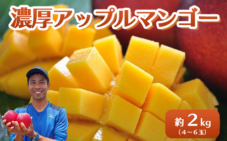 2026N s\ Abv}S[ 2kg 4`6 Zbg dR}S[i]1ʂv3lIxۏ؁I_t@C~[ Z ʕ t[c