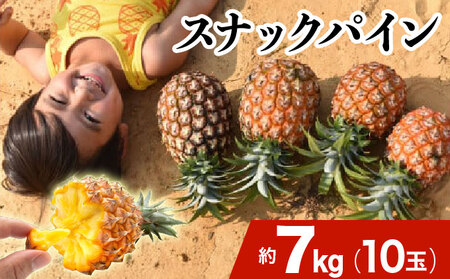2026N s\ XibNpC 7kg 10 \Ђ炢_ pCibv ʕ t[c pC 027-a011_2026