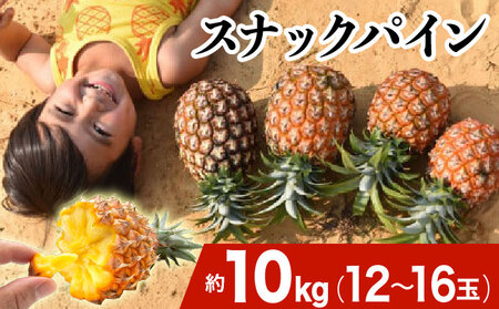 2026N s\ XibNpC 10kg 12`16 \Ђ炢_ pCibv ʕ t[c pC 027-a012_2026