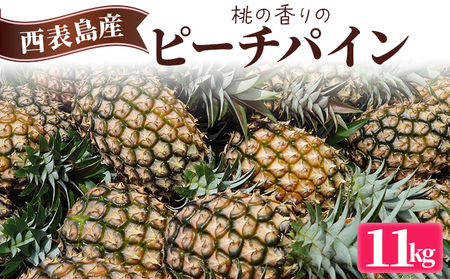 2026N s\ s[`pC 11kg (12`18) ̍ ܂ݔ_ pC ʕ t[c