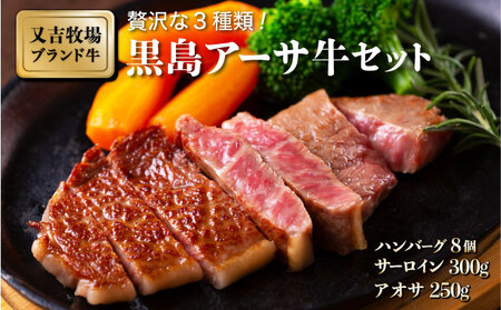 ハンバーグ 牛肉 黒島 アーサ牛 150g×8個 サーロイン 150g×2 アーサ 250g セット