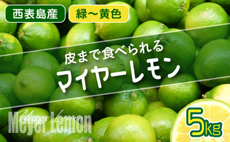 果汁たっぷり マイヤーレモン(島レモン)約5kg