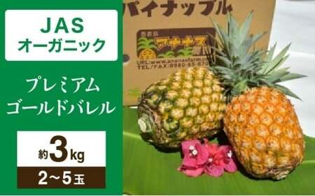 【JASオーガニック】 プレミアムゴールドバレル 約3kg 2～5玉 023-a009_2026