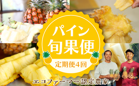 定期便 4回 2025年 先行予約 パイナップル 旬果便 農園ファイミール パイン 4種 果物 フルーツ