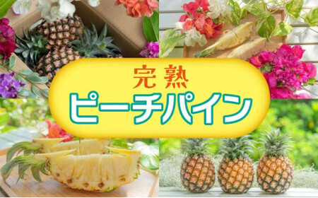 ☆新感覚の味わい☆ 桃のような甘〜い香りのする芳醇なパイナップル『完熟ピーチパイン』約2.1kg