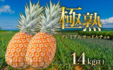 GOKUJUKU-�ɏn�v���~�A���T���h���`�F(R) 1.4kg�ȏ� 1�ʁ@2026�N�@��s�\�� �p�C�i�b�v�� ���� �����x�G�i �����p ���蕨 �p�C�� �ʕ� �t���[�c �f�U�[�g �� ���\��