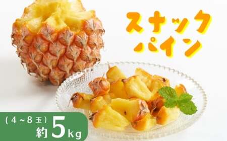 パイナップル スナックパイン 約5kg 