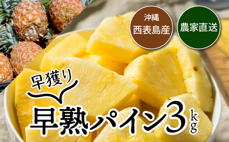 [2026年発送]南国の香り! 早穫り完熟パイン