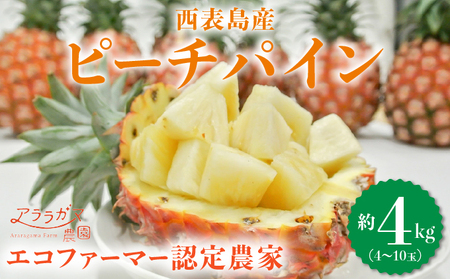 AK}_˂̃s[`pCB荂lCNO.1Iʗ1Åns[`pC@s[`pC4kgi4`10ʁj