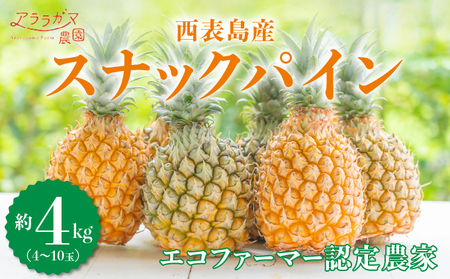 mxNO.1Ix^FȐVopC@ĐHׂXibNpC4kgi4`10ʁj