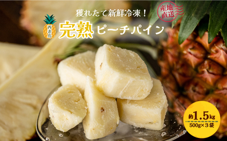 穫れたて新鮮冷凍！西表島の完熟ピーチパイン 500g×3袋