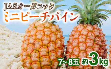 2026年 先行予約 パイナップル ついに実現!転換期間中 JASオーガニック ミニピーチ 3kg (7〜8玉)