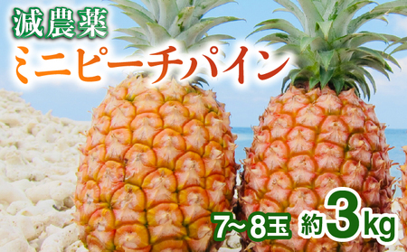 2026年 先行予約 栽培期間中 減農薬 ミニピーチパイン 3kg (7〜8玉)