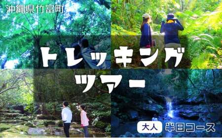 西表島 半日森林浴滝トレッキングツアー[体験可能期間:11月1日〜4月30日]大人1名分