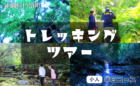 西表島 半日森林浴滝トレッキングツアー[体験可能期間:11月1日〜4月30日]小人1名分