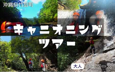 西表島 半日森林浴滝トレッキングツアー[体験可能期間:11月1日〜4月30日]小人1名分