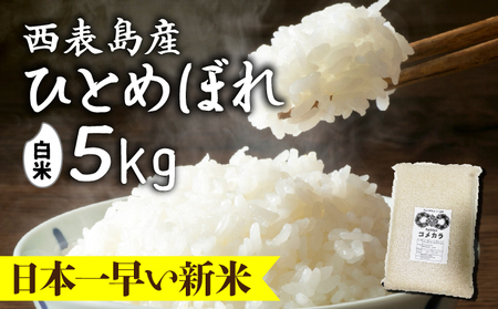 新米ひとめぼれ(白米)5kg