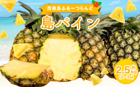 2026年 先行予約 島パイン (ハワイ種) 約2.5kg(2〜3玉) パイナップルの王道 西表島産 パイン 果物 フルーツ