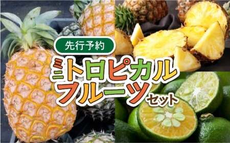 ミニトロピカルフルーツ セット パイン シークワーサー