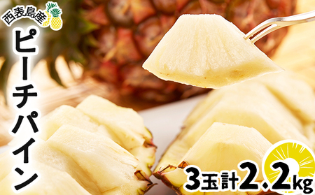 2026N s\ s[`pC  2.2kg (3) \ӂ`ǁs̐lCNo.1 Ïn ʕ t[c pC