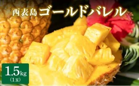 高級感No.1!開発に30年・栽培に3年。パイナップルの最高峰ゴールドバレル1.5kg(1玉)
