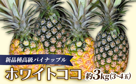 新品種高級パイナップル ホワイトココ 希少品種 ココナッツの香り 約3kg(3〜4玉)