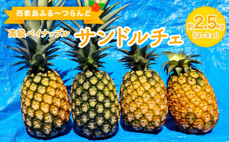 pCibv FȍƊÂ Th`F 2.5kgi2`3ʁj