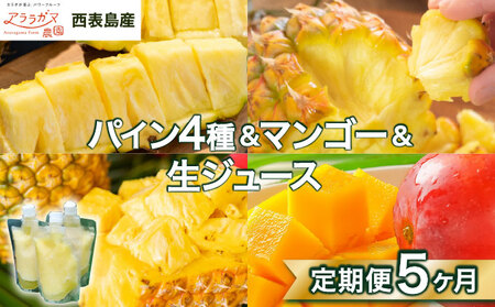 リピート率No.1!パイナップル4種類&マンゴー&生ジュースを5回にわけて毎月お届け!