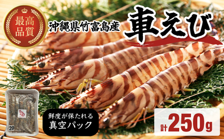 車えび 竹富島産 真空パック(冷凍) 250g