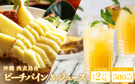 nNs[`pC2kgi2ʁjƊÂƋlߍ100pCibvW[X1{@pC@ʕ@t[c