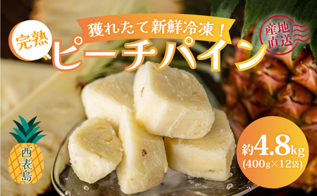 �n�ꂽ�ĐV�N�Ⓚ�I���\���̊��n�s�[�`�p�C��4.8kg(400g×12��)