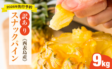 󂠂I2026Ns\@傫sIɂςXibNpC9kgZbg