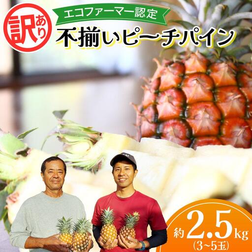 2026年 訳あり 不揃い ピーチパイン 約2.5kg