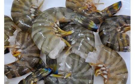 y12/10̐\ŔNz̎ԊCV ԊCViⓀj250×3pbNiv750gjF010