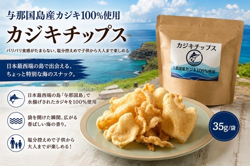 与那国島産 カジキ100%使用 カジキチップス (35g×3袋) NE-1 │ 沖縄県 与那国町 与那国島 おやつ スナック カジキ 揚げ菓子 セット 贈答 ギフト