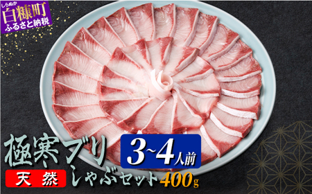 天然極寒ぶり ブリしゃぶセット 【400g（3～4人前）】_A024-0953