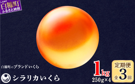 年3回お届け定期便 シラリカいくら（生いくら）【1kg（250g×4）】 〔お好みに味付けができます〕_K119-0926