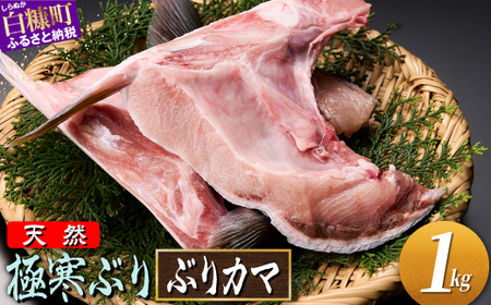 [訳あり] 天然 極寒ブリ ぶりカマ 1kg (4切)