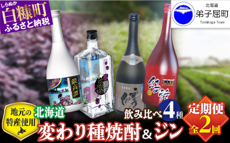 [定期便]焼酎3種 × クラフトジン 飲み比べ 720ml 6本 700ml セット