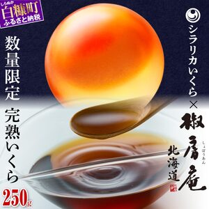 数量限定 完熟いくら【生いくら250g たれ70g】_I022-1624