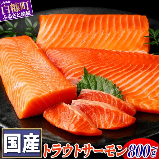 国産 トラウトサーモン 800g 鮭 サーモン さけ シャケ しゃけ sake カルパッチョ サーモン丼 ムニエル 生食用 刺身 お刺身 刺し身 産地 人気 高級 大満足 美味しい 贈答 魚介類 海鮮 冷凍 厚切り 薄切り 鮮度 HACCP ふるさと納税 北海道 白糠町