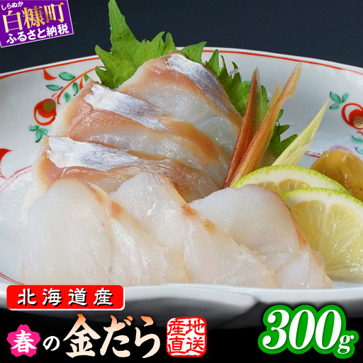 春の金だら 300g フィレ たら 鱈 北海道産 ふるさと納税 刺身 魚 魚介 海鮮 国産 人気 北海道 白糠町