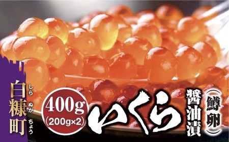 いくら醤油漬(鱒卵)【500g（250g×2）】（12,000円円）